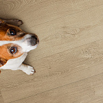 Виниловый пол Floor Factor Classic Barley Corn Oak  по цене 6&nbsp;686.82 ₽